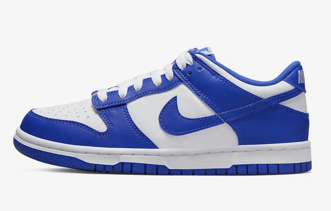 Nike Dunk Low Blue